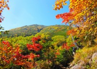 紅葉の山