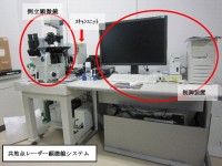 共焦点レーザー走査型顕微鏡